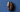 Blank Rounds Coffee Bean - Roast Intensity
